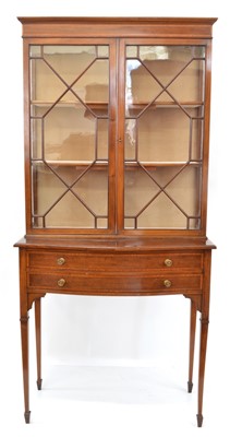 Lot 309 - Edwardian Mahogany Display Cabinet