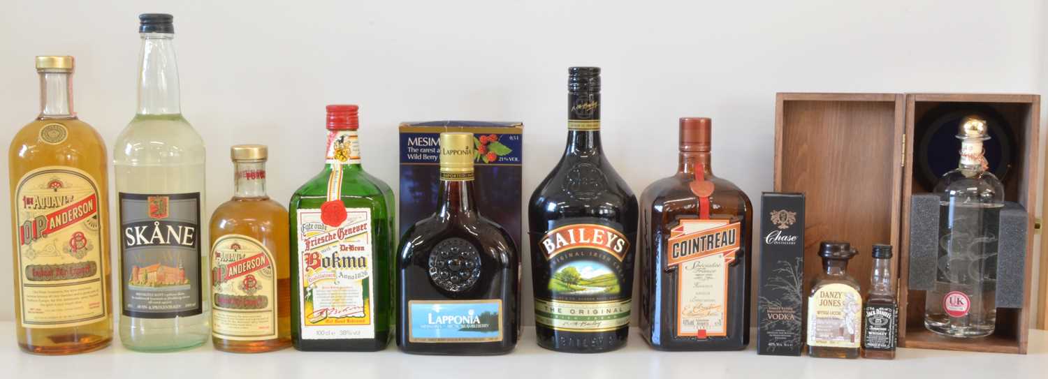 Lot 189 - 11 Items Mixed Lot Grappa, Aquavit, Genever, Liqueurs and miniatures
