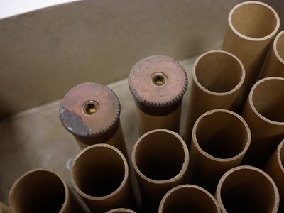 Lot 419 - 4 bore cartridge cases, including ten brass...