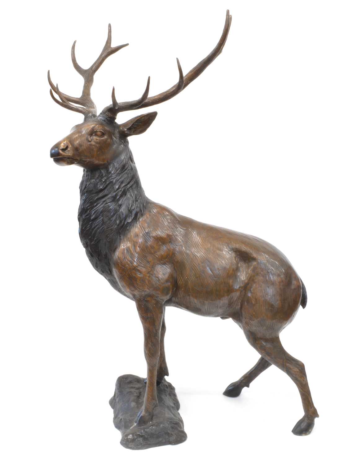 451 - Large and Impressive Near Life-Size Bronze Stag
