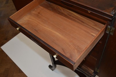 Lot 345 - Mid 19th Century Mahogany Music or Collectors Cabinet
