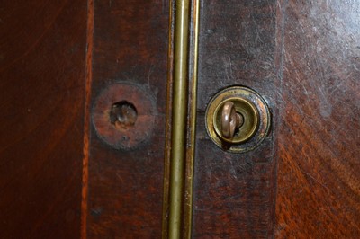 Lot 345 - Mid 19th Century Mahogany Music or Collectors Cabinet