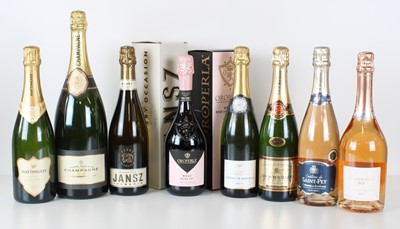 Lot 38 - 8 bottles including 1 Magnum Mixed Lot Fine Sparkling Wines and Champagne