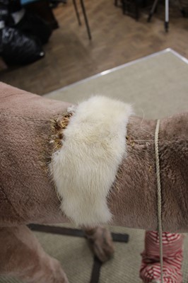 Lot 277 - Steiff, Germany