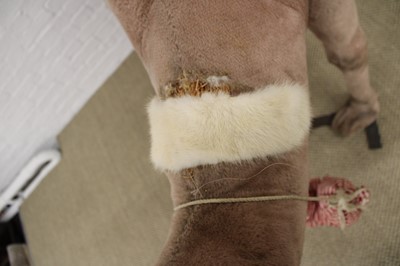 Lot 277 - Steiff, Germany