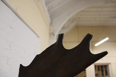 Lot 204 - A Taxidermy Fallow Deer Head Mount
