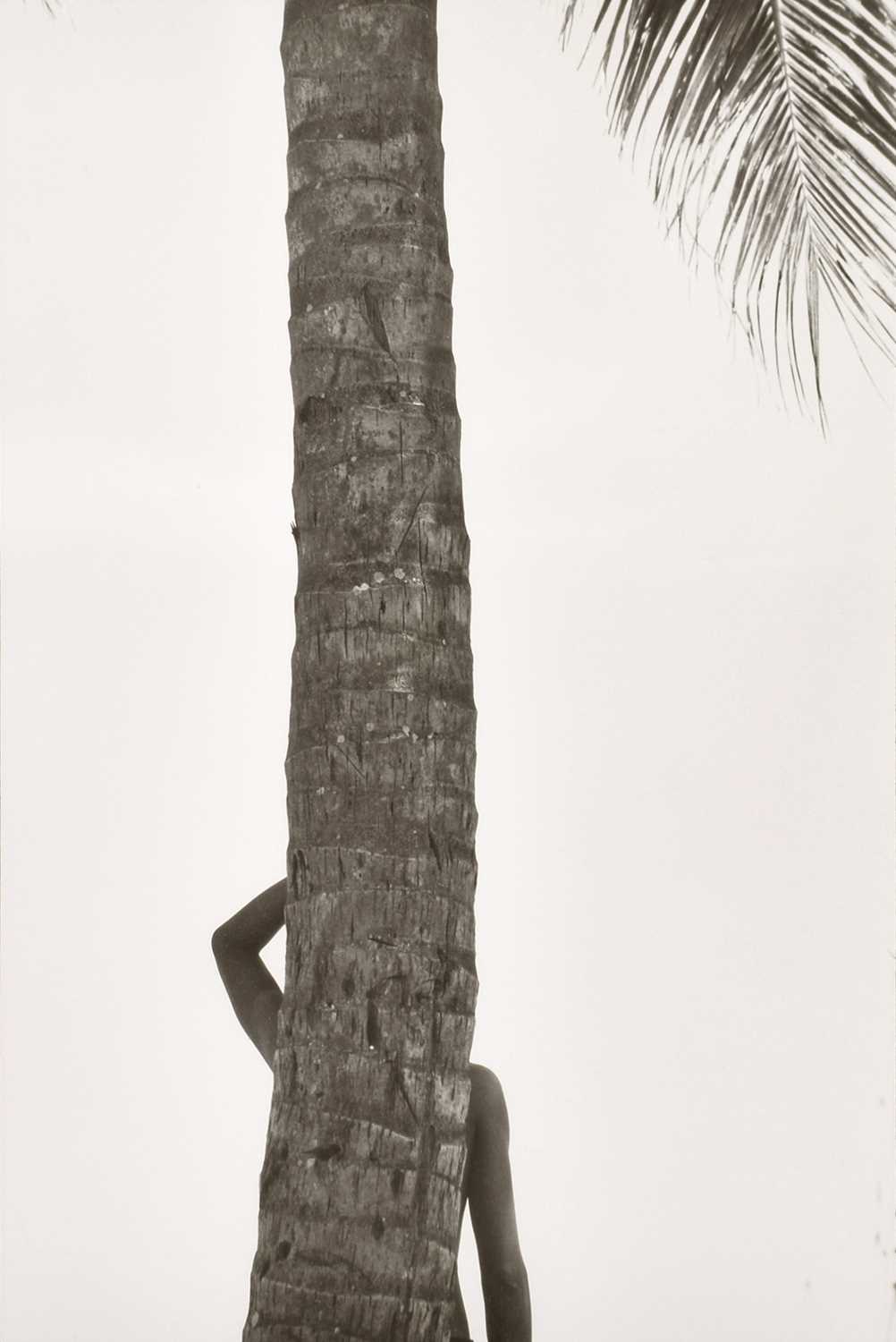Lot 247 - Elliott Erwitt (French/American 1928-2023)