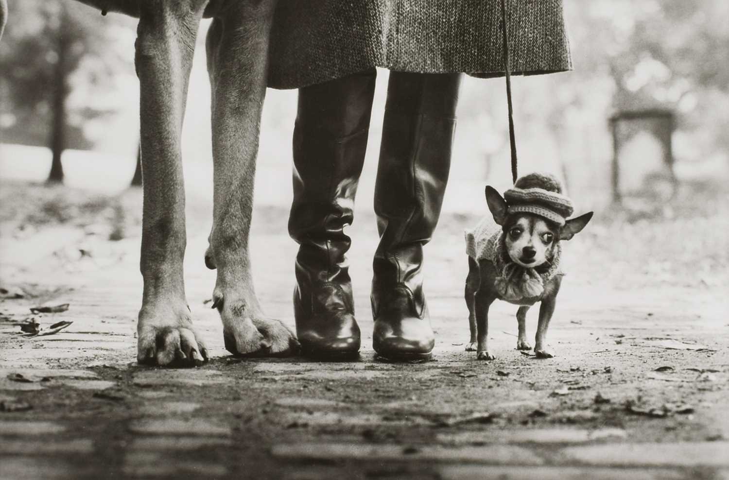 Lot 218 - Elliott Erwitt (French/American 1928-2023)