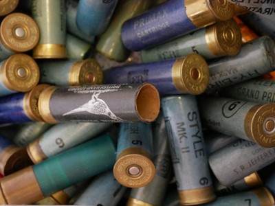 Lot Sixty-five 16 bore shotgun cartridges, paper...