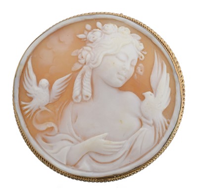 Lot A shell cameo brooch.