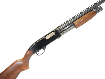 Lot Deactivated Winchester 12 bore pump action...