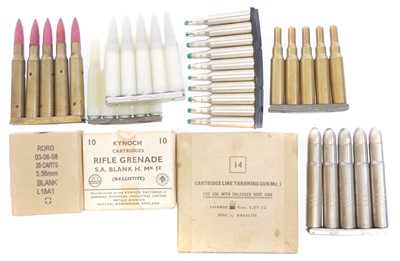 Lot 495 - Collection of blanks and training ammunition,...