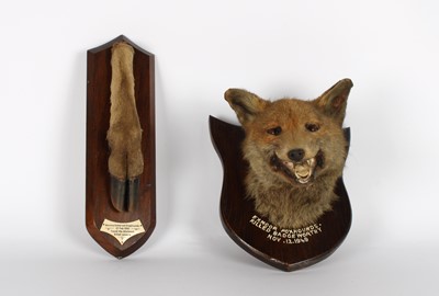Lot A Mid-20th Century Taxidermy Fox's Head and Stag's Foot