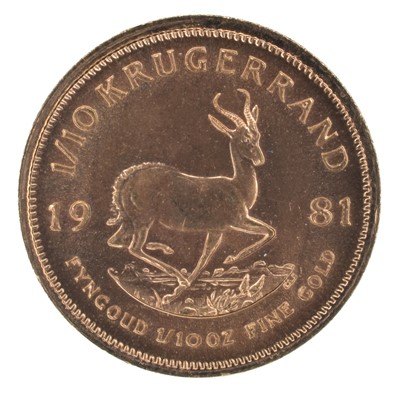Lot 63 - South Africa, 1/10 Krugerrand, 1981