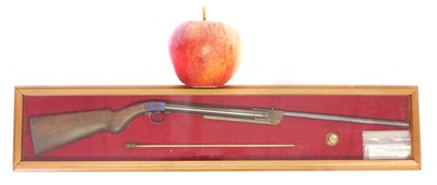 Lot Miniature model of a Diana air rifle by R.T....