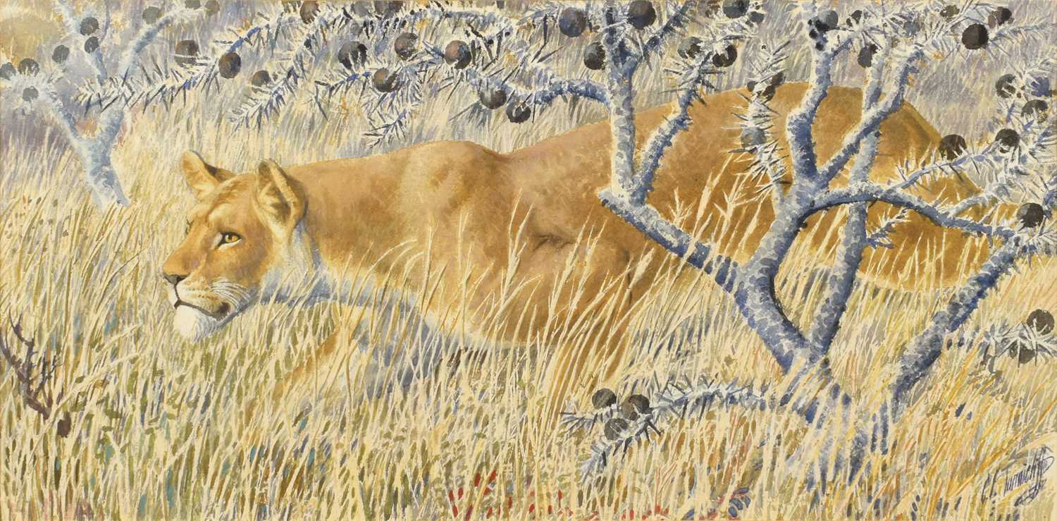 Lot 174 - Charles Frederick Tunnicliffe (British 1901-1979)