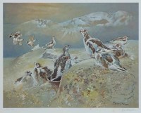 Lot 392 - After Eric Arnold Roberts Ennion, Bird studies, signed limited edition prints (2).