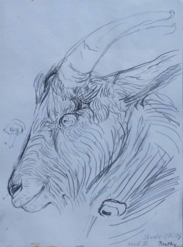 Lot 374 - John Bratby, Study of Billy's Head II, pencil.