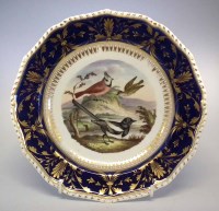 Lot 168 - Bloor Derby plate circa 1820   painted with birds