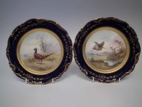 Lot 217 - Pair of Coalport game bird plates.