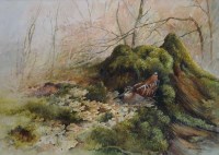 Lot 454 - Berrisford Hill, Woodcock, watercolour.