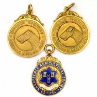 Lot 322 - Two 9ct gold Midland Counties medals and another (3)