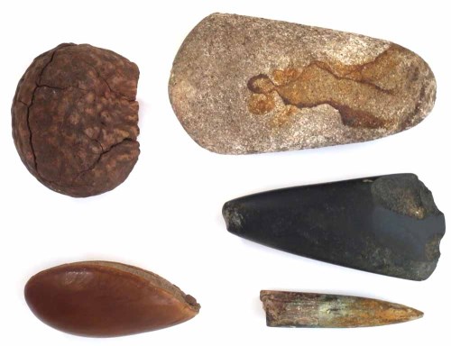 Lot 4 - Two stone axe heads, probably Neolithic period of Langdale origin, also a fossilised tooth, and two nuts