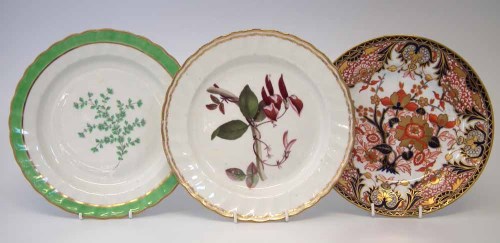 Lot 66 - Derby botanical plate circa 1800, painted with a