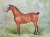 Lot 645 - Herbert St. John Jones, Horse study, watercolour.