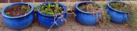 Lot 763 - Four blue ceramic planters.