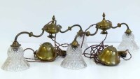 Lot 30 - Pair of rise and fall ceiling lights