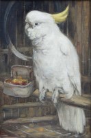 Lot 408 - Alice Ross, Cockatoo, oil.