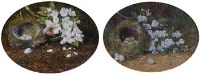 Lot 627 - Derek Shapiro, Bird's Nest & Hawthorn and Bird's Nest & Appleblossom, oil (2).