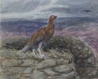 Lot 731 - G.A. Short, Red Grouse, watercolour (3).