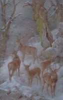 Lot 809 - W.B. Slavesse, Group of stags and deer, pastel.