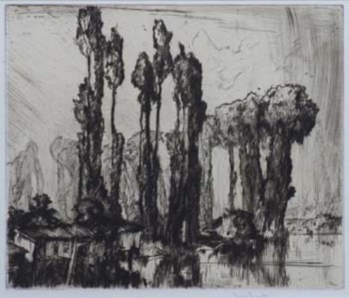 Lot 582 - Frank Brangwyn, Trees, etching.