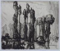 Lot 582 - Frank Brangwyn, Trees, etching.