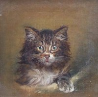 Lot 367 - Wilson Hepple, Portrait of a kitten, oil.