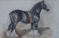 Lot 380 - Herbert St. John Jones, Black Gelding - Perseus and another horse study, pencil and watercolour (2).
