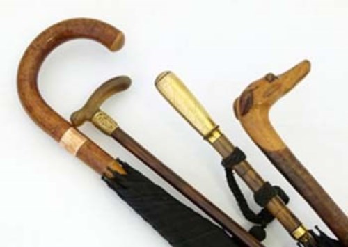 Lot 21 - Group of four umbrellas and walking canes.