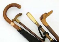 Lot 21 - Group of four umbrellas and walking canes.