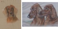 Lot 416 - Beatrice M. White, Dog studies, pastel.