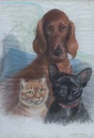 Lot 417 - Beatrice M. White, Group portrait of a red setter, french bulldog and a cat, pastel.