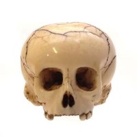 Lot 1 - Ivory skull.