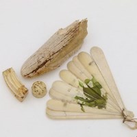 Lot 14 - Tooth / Mamoth tusk point, one other tooth, ivory fan and a carved box.