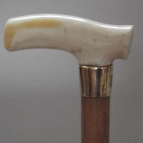 Lot 8 - Ivory and gold walking stick.