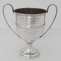 Lot 231 - Silver trophy cup.