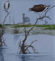 Lot 558 - Michael Warren, Ospreys, Merritt Island, Florida, watercolour