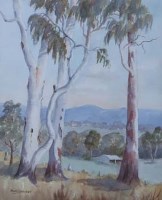 Lot 651 - Betty Belcher, Australian gum trees, watercolour (2).