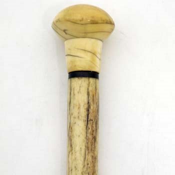 Lot 15 - Narwhal walking cane.